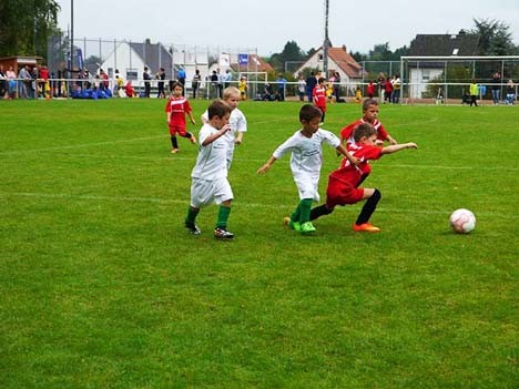 000 G-2 Oberhoechstadt 13.09.15 468x351