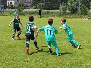 000 G-1 Ober-Ramstadt 18.06.16