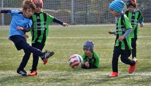 000-fg-seckbach-12-11-16-468x269